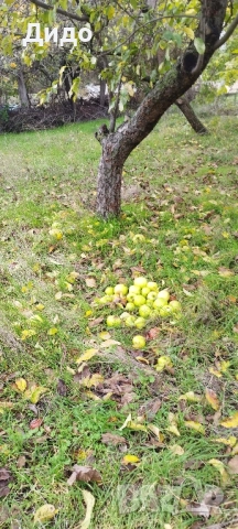 Парцел в регулация, гр. Белослав, област Варна , снимка 9 - Парцели - 52437459