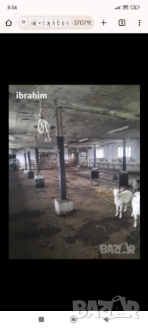 Obor, снимка 5 - Земеделска земя - 53339740