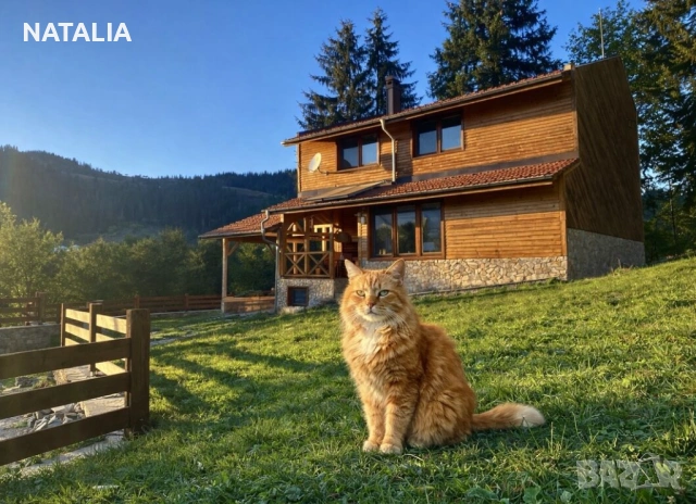 Къща за гости «Шале Изглед»