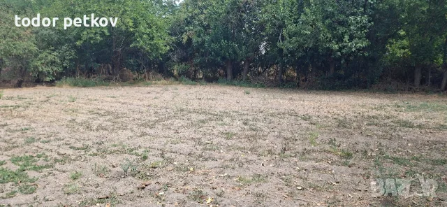 Дворно място в село Манолско Конаре , снимка 3 - Парцели - 56149259