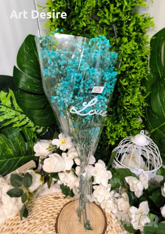 Гипсофил , снимка 9 - Други - 53408838