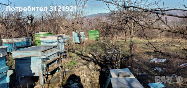 Земеделска земя за продажба в района на с.Беласица , снимка 7 - Земеделска земя - 39577960