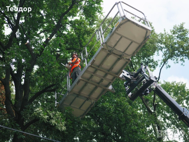 Обработка на терени с горски мулчер и подготовка за строителство – Варна, снимка 9 - Други услуги - 53669980