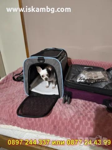 Разтегателна транспортна чанта за котка - КОД 4328, снимка 9 - За котки - 49877232