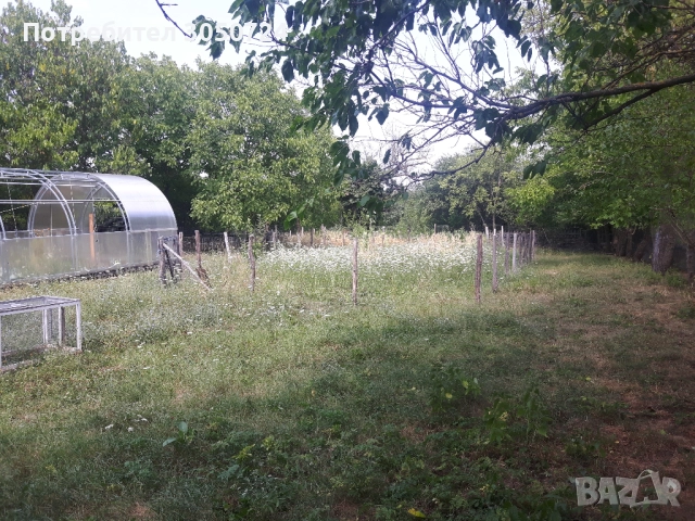 Къща в 7855 Бракница, снимка 5 - Къщи - 52690095