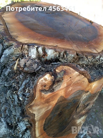 Продавам дървен материал ОРЕХ , снимка 8 - Други - 51354034