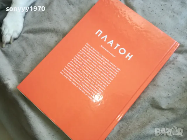 ПЛАТОН 2810241611, снимка 12 - Специализирана литература - 47748760