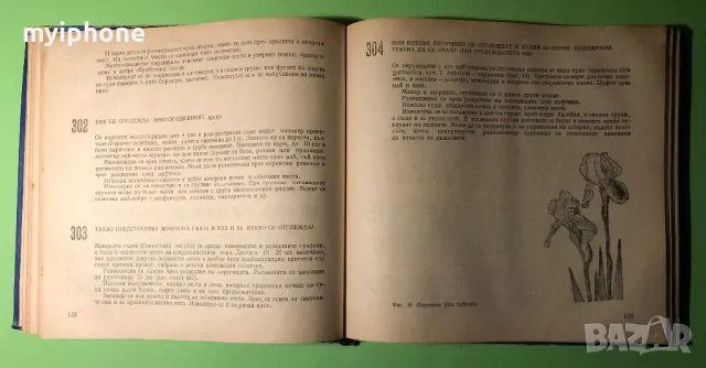Стара Книга 599 Съвета за Любителя Цветар, снимка 8 - Специализирана литература - 49203115