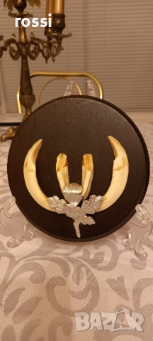 Красиви немски трофеи диво прасе, документ, трофей, снимка 5 - Колекции - 44200959