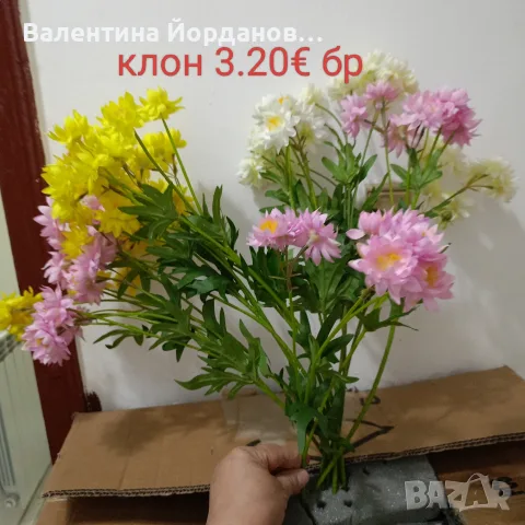 цветя за декорация и украса , снимка 8 - Декорация за дома - 55713740