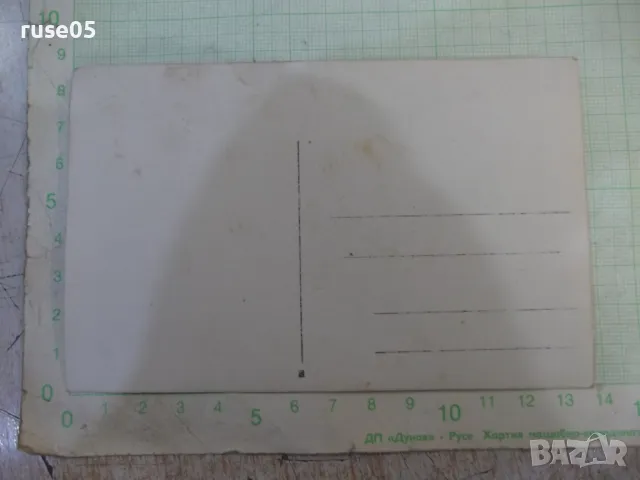 Снимка стара на група младежи с два велосипеда върху реката, снимка 2 - Колекции - 47910103