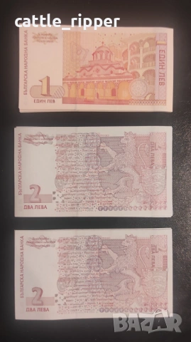 Български банкноти - 1 и 2 лева 1999 и 2 лева 2005, снимка 2 - Нумизматика и бонистика - 53564287