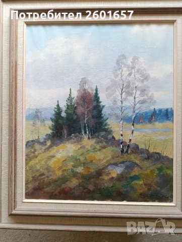 Красива голяма картина масло, подписана., снимка 1