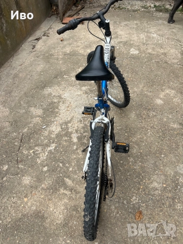 Колело бачини 24 цола, снимка 3 - Велосипеди - 51666902