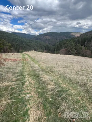 Парцел във вилна зона м. Дикчан, снимка 4 - Парцели - 50097017