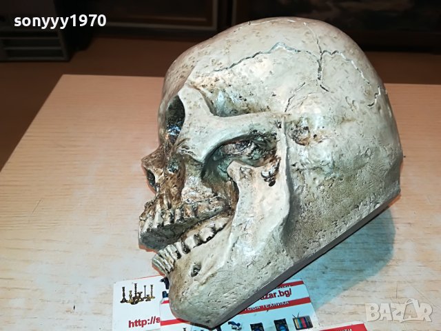 черепа 20х16х14см-антика 0101231028, снимка 2 - Антикварни и старинни предмети - 39153266