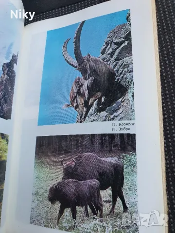 Книга за лов и риболов , снимка 3 - Екипировка - 48345598