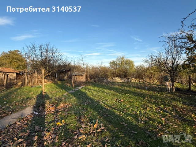 Частично ремонтирана къща само на 20км от Морският бряг в Дуранкулак, снимка 4 - Къщи - 53833142