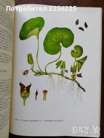 Фитотерапия , снимка 8 - Специализирана литература - 50501664