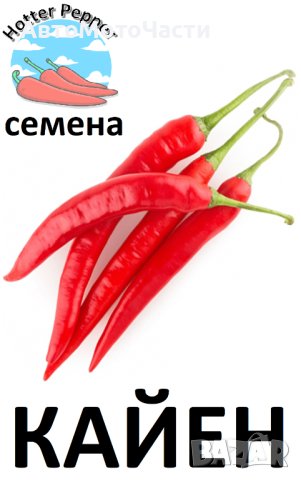 Семена за екзотични люти чушки, снимка 2 - Сортови семена и луковици - 44274579