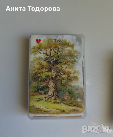 Карти за игра , снимка 6 - Карти за игра - 52115319