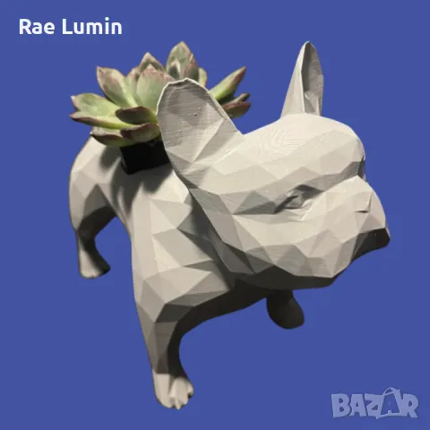 Кашпа булдог, снимка 1