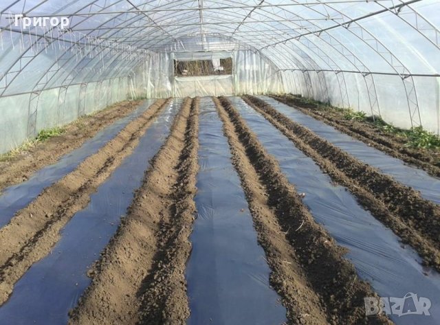 На едро и дребно! Мулч-Висококачествено найлоново фолио за мулчиране., снимка 2 - Други - 44445280