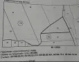 продавам широколистна гора, снимка 2