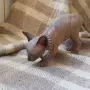 Чистокръвно коте сфинкс, снимка 5