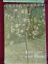 Нови скицници за рисуване - 50 листа. , снимка 3