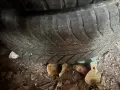 Зимни гуми с джанти, снимка 3