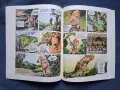 Стари Френски Комикс Албума RAHAN , снимка 10