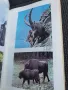 Книга за лов и риболов , снимка 3