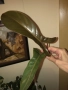 Резник philodendron Florida Bronze , снимка 1