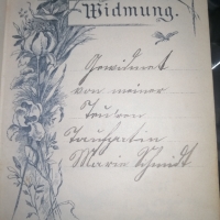 Евангелска-лутеранска библия 1895, снимка 8 - Антикварни и старинни предмети - 36068010