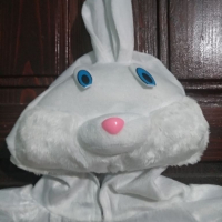 Плюшен костюм на зайче, снимка 1 - Други - 18221895