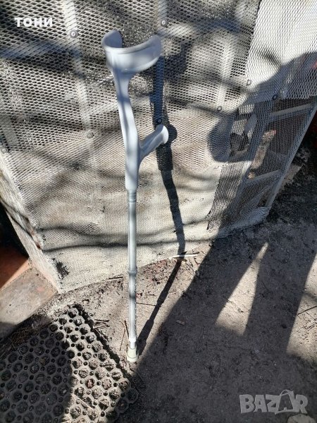 Петерица канадка, снимка 1