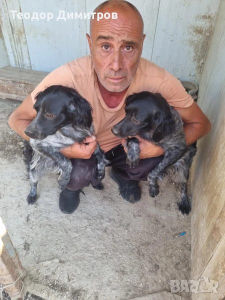 два женски бретона, снимка 1