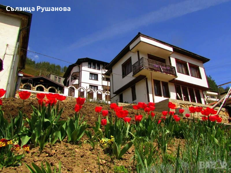 КЪЩА ЗА ГОСТИ  "ЗВЕЗДИЦА", снимка 1