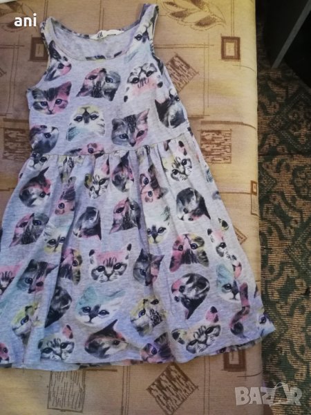 Рокля с котета , снимка 1