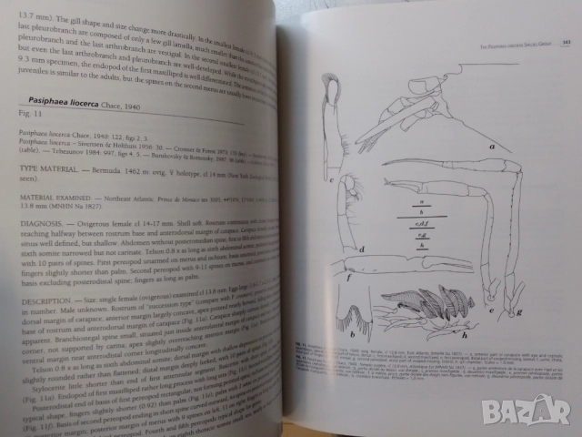 Тропическо море-Tropical Deep Sea Benthos, снимка 7 - Енциклопедии, справочници - 51756943