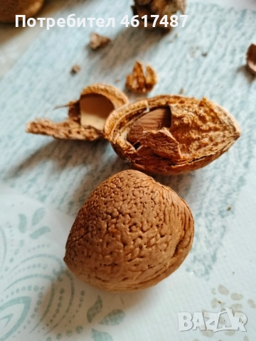 орехотрошачки , снимка 5 - Други - 52249752