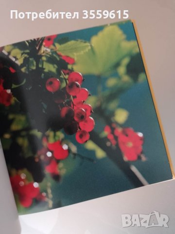 уникална немска книга за природата със стотици красиви снимки, снимка 4 - Други - 38918716