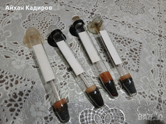 4 бр. Стъклени термометри с вакуми 5 евро , снимка 2 - Оборудване за аквариуми - 53305366