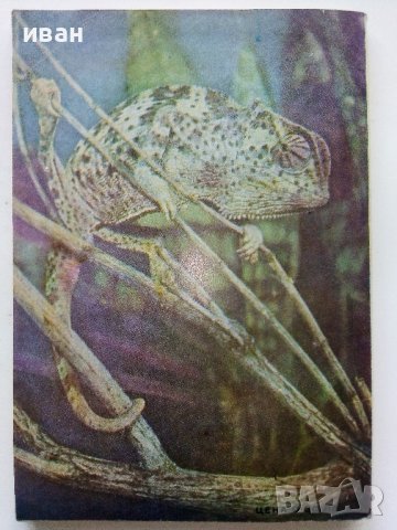 Списания "Наука и техника за младежта", снимка 6 - Списания и комикси - 39155519