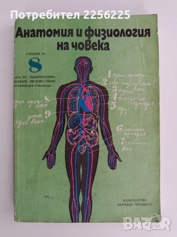 Анатомия и физиология на човека