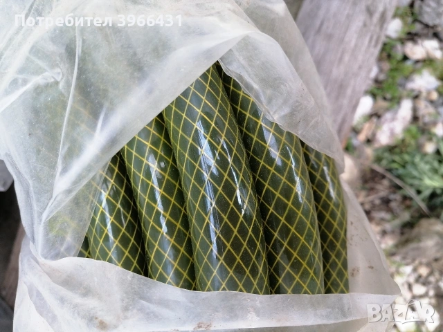 Градински маркуч 3/4 - 50м., снимка 2 - Напояване - 53492299