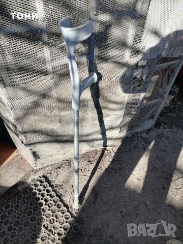 Петерица канадка