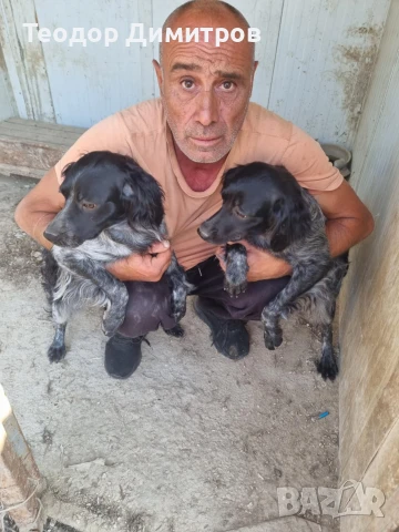 два женски бретона, снимка 1