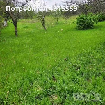Парцел в Дедево 